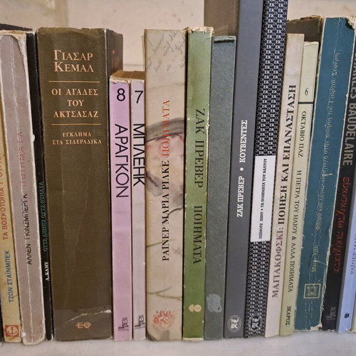 Foreign Literature and Poetry Books used, pack of 32
