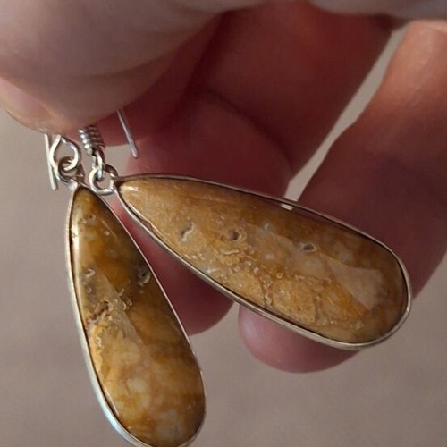 Fossil Coral Earrings new, silver plated 925