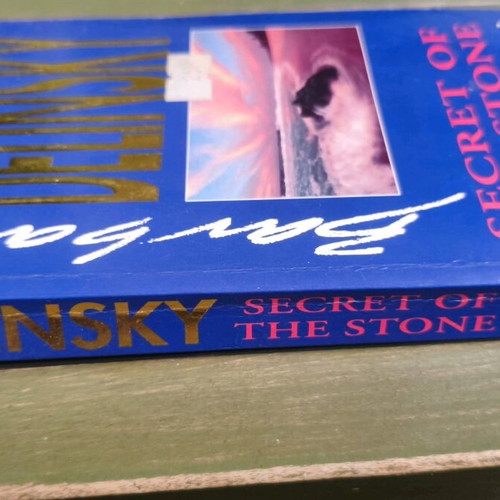 English pocket book Secret of the Stone like new