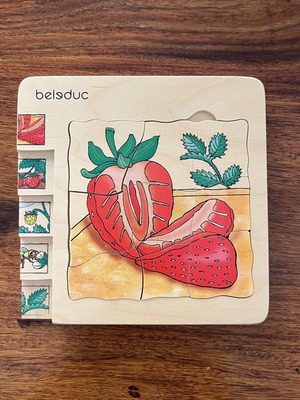 Belsduc 5-Layer Strawberry Wooden Educational Puzzle new