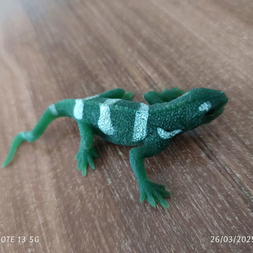 Zoulichta lizard like new, length 9cm