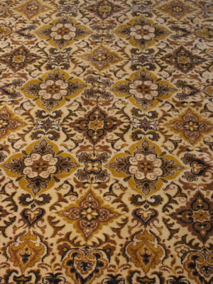 Rug used