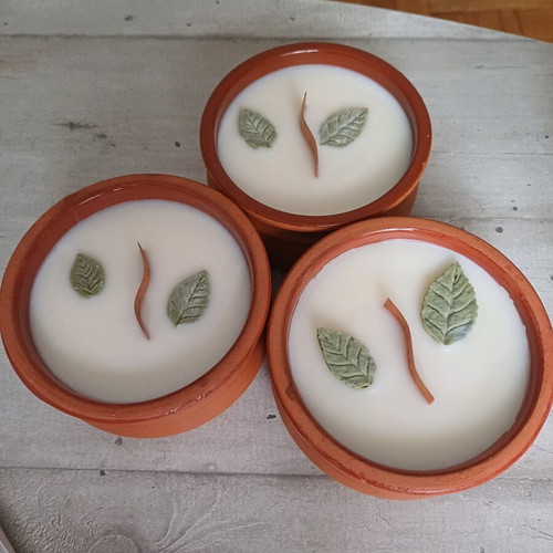 Soy candle in clay container new, 220g with scent of choice