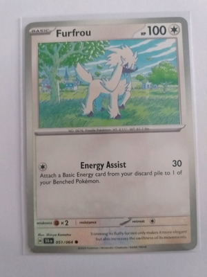 Pokemon Furfrou Common Card new condition in sleeve