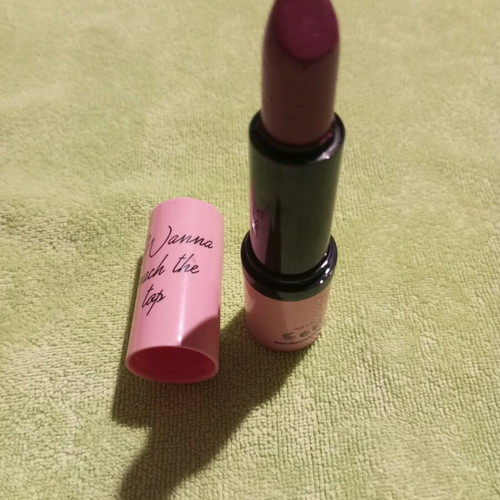 Limited Edition Lipstick Fashion Victim by DUST+CREAM like new