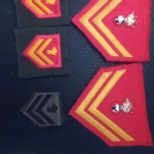 Infantry Sergeant Insignia