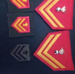 Infantry Sergeant Insignia