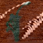 ΓΥΝΑΙΚΕΙΑ ΚΑΡΦΙΤΣΑ