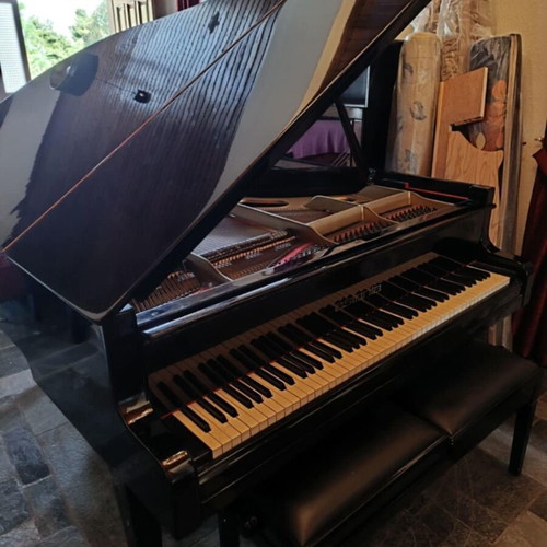 Estonia Grand Piano 3/4 Soviet Era like new