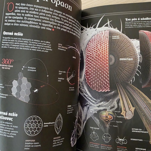 Atlas of Sciences: Invertebrates book like new