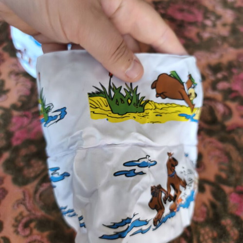 Flintstones vintage swim armbands used from the 80s