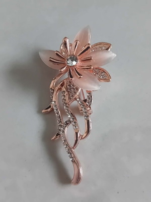 Brooch pin with crystals new