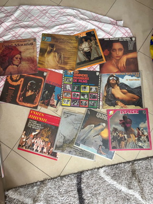 Vinyl collection of 12 foreign artists like new