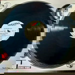  1988 The Escape Club – Shake For The Sheik , Vinyl, 12", 45 RPM