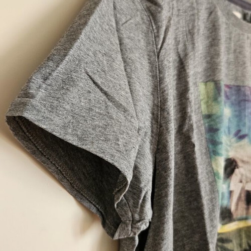Emerson men's T-shirt with print, grey and multicolour, size M