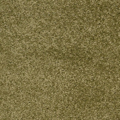 Green carpet like new with soft texture and extra mats included
