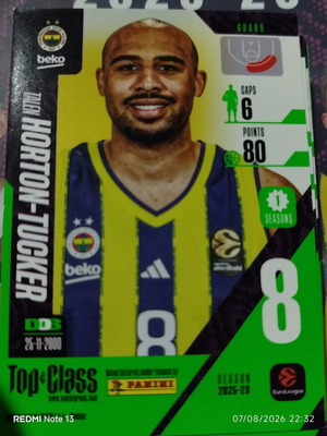 Panini Top Class Euroleague stickers used