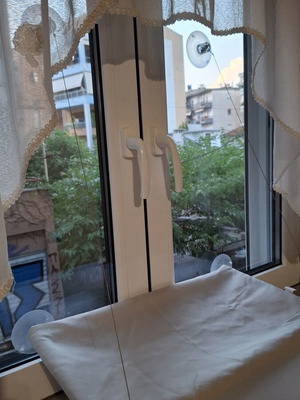 Cat hammock with suction cup for window