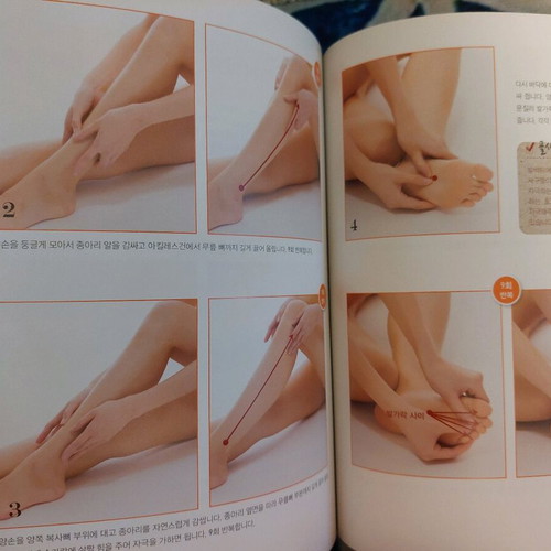 Korean Beauty and Anti-Aging Book for Face and Body new