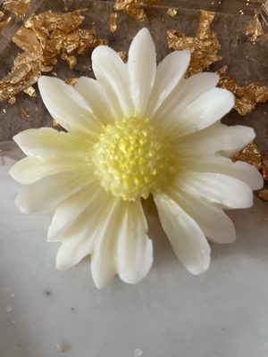 Waxmelts Flowers New, Daisy Shape with Jasmine and Peony Scents