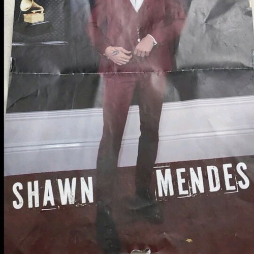 Ariana Grande and Shawn Mendes double-sided poster like new