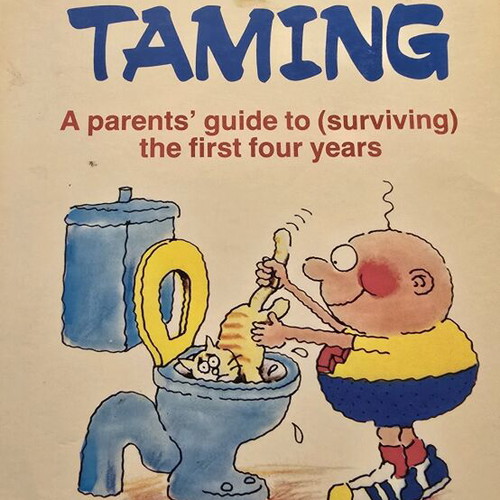 Toddler Timing book like new, parents' guide to first four years