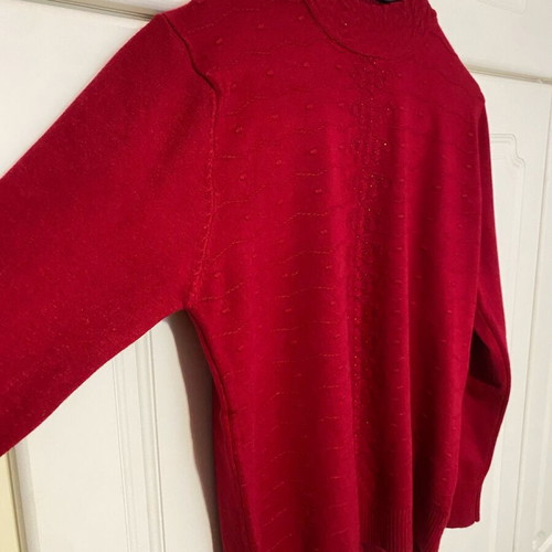 Red pullover turtleneck with details