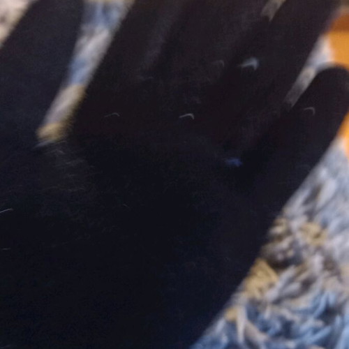 Velvet gloves like new, one size, black