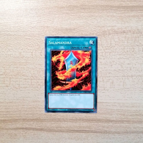 Yu-Gi-Oh! Salamandra Spell Card near mint, common, LDK2-ENJ27