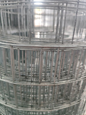 Pointed mesh 5x5 new, roll 25 meters, thickness 1.8 mm, height 80 cm