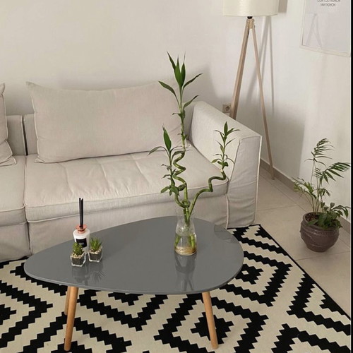Coffee table new gray with glossy lacquer surface and solid legs