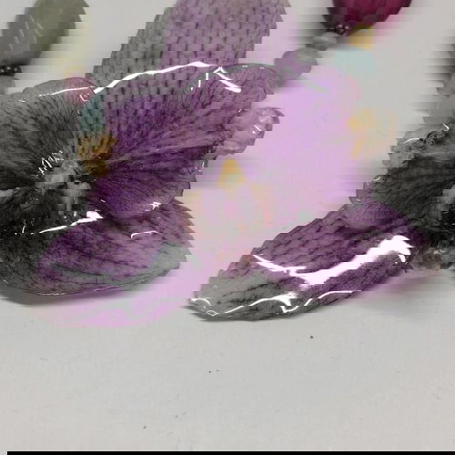 Колие с естествен цвят на орхидея изработено по поръчка