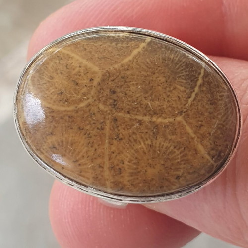 Polished Coral Fossil Ring silver plated size USA9 new