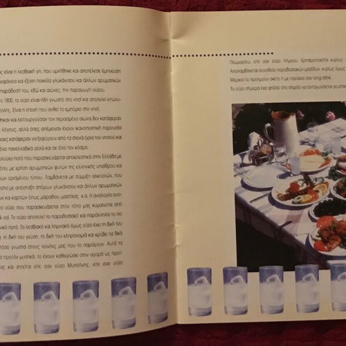 Theofilos Chatzimichail book like new