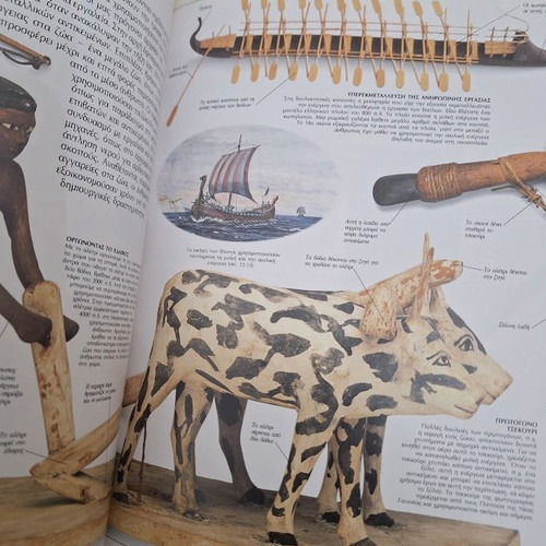 Researchers and Eyewitness book set like new