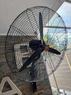 Wall fan 75cm 280W