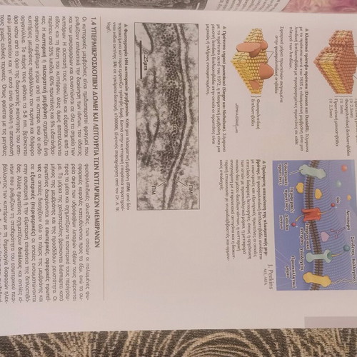 Histology book like new