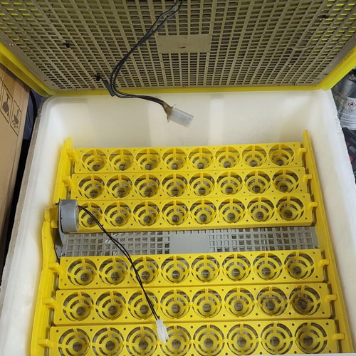 Egg Incubator 48 Eggs Used, Automatic with Instructions
