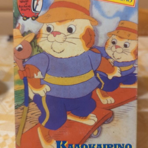 Summer Picnic VHS tape used