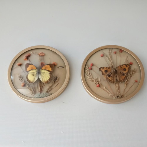 Two round butterfly wall clocks with domed glass