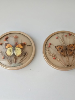 Two round butterfly wall clocks with domed glass