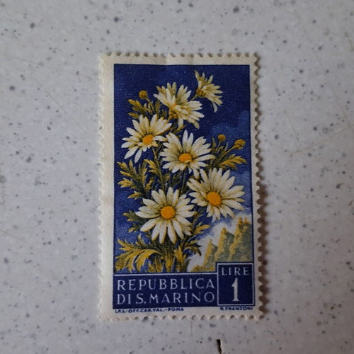 San Marino 1957 1 Lira Stamp used, daisies
