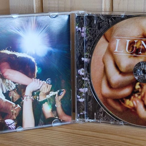 Florence + the Machine Lungs CD like new, rock