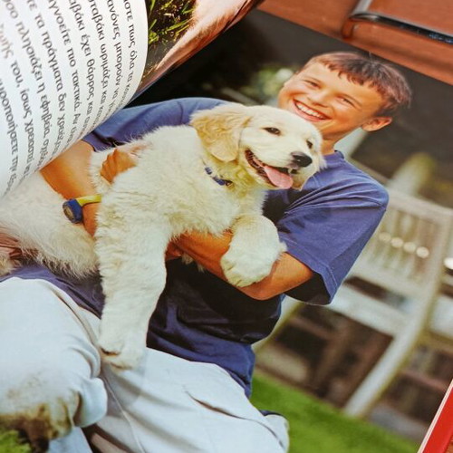 Puppies Alison Jones used book