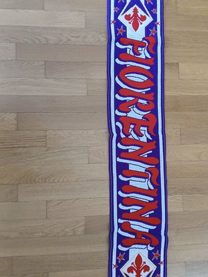 Fiorentina Roma Barcelona Pisa Real Madrid Paris Saint Germain Scarves new, authentic