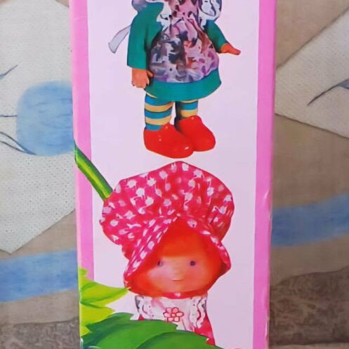 Fraulitsa Lyra doll like new, collectible 80s decade with poster