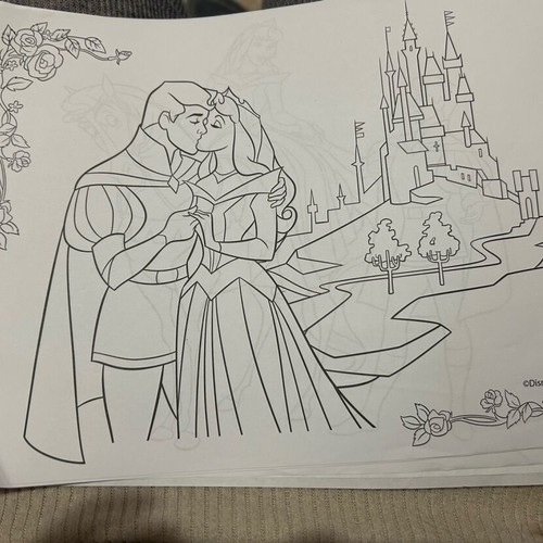 Disney princess coloring designs used