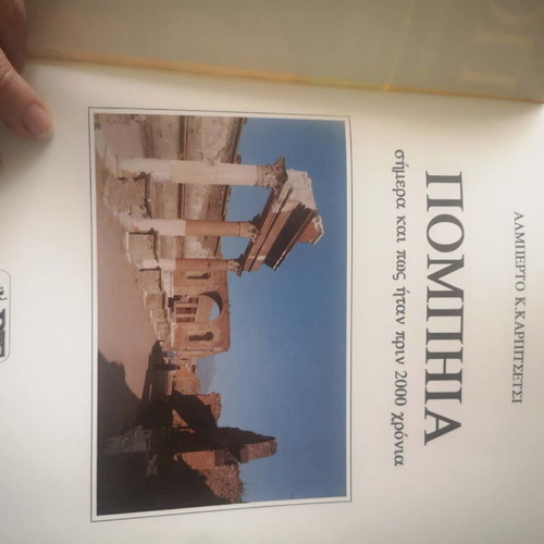 Pompeii Book New Archaeological History and Travel Guide