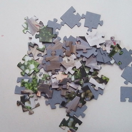 Mini puzzle Pets Trefi 54 pieces used