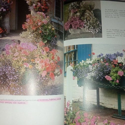 Plants for Pots and Window Boxes used book
